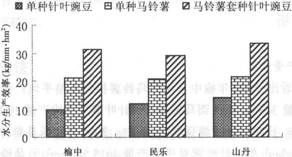 马铃薯套种针叶豌豆高效栽培技术研究<sup>*</sup>